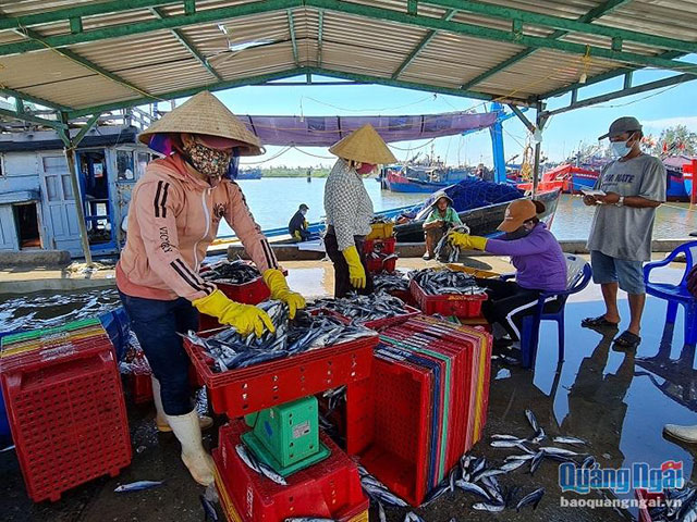 hải sản quảng ngãi