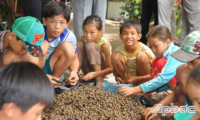 ốc gạo