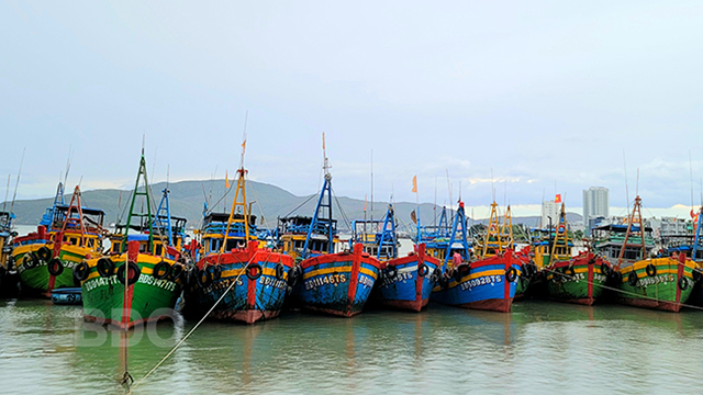 neo đậu tàu cá