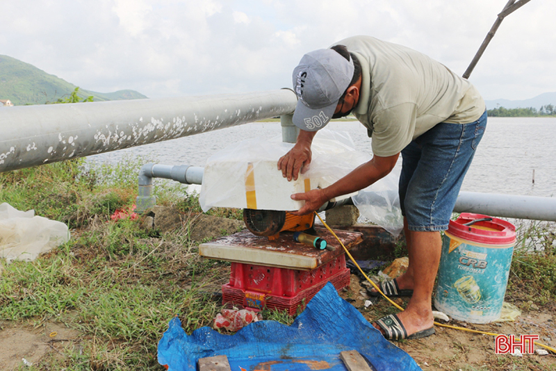 ốc hương