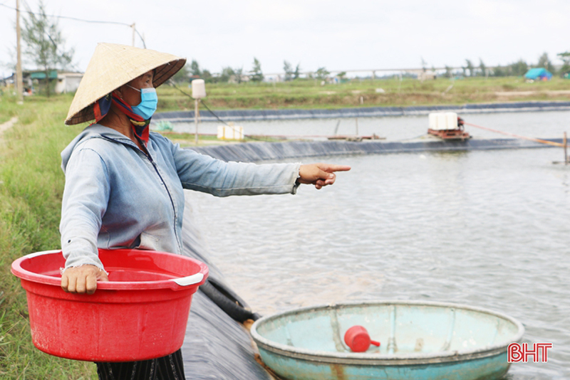 ốc hương
