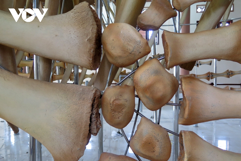 phục dựng xương cá ông