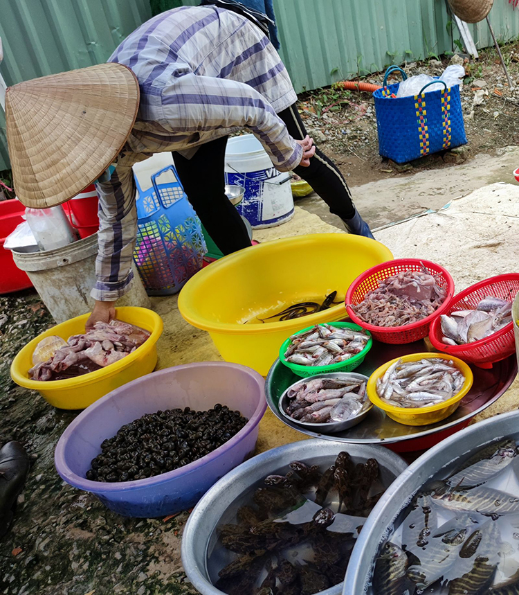 giá ốc bươu