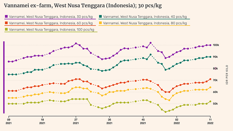 giá tôm indonesia