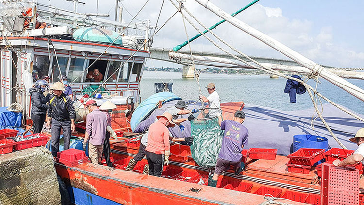 tàu cá quảng trị