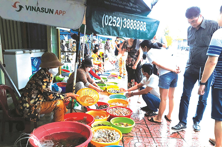 hải sản bình thuận
