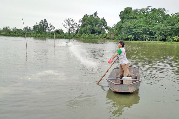 Kinh nghiệm sử dụng TCCA