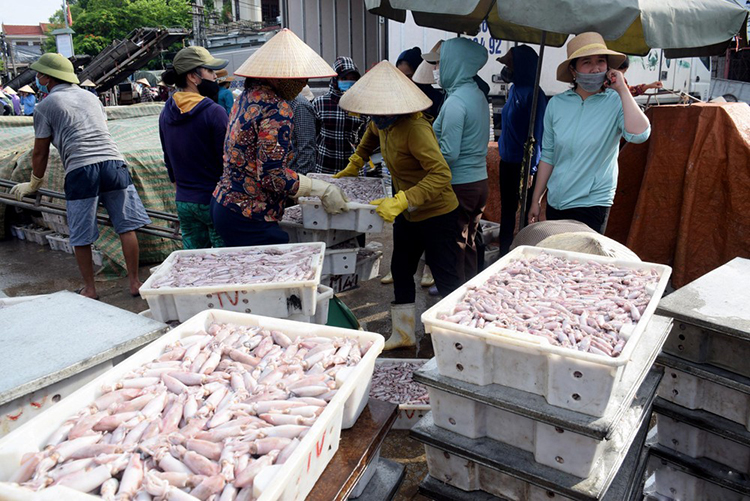 giá hải sản