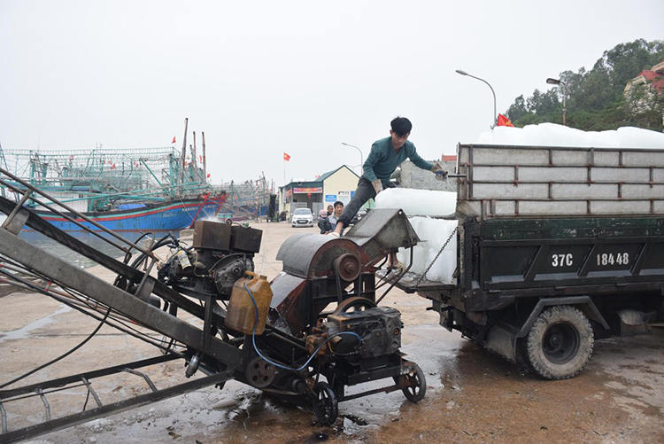 giá hải sản