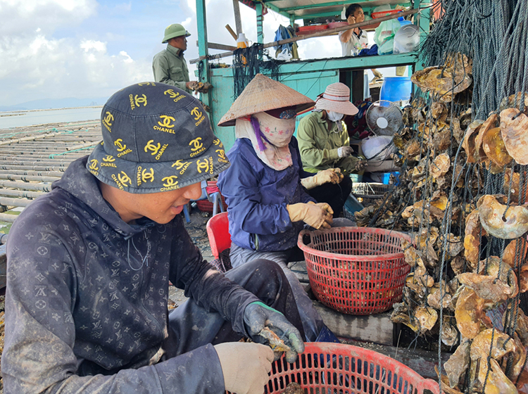 Vip 007 hiện đang mở quảng ninh