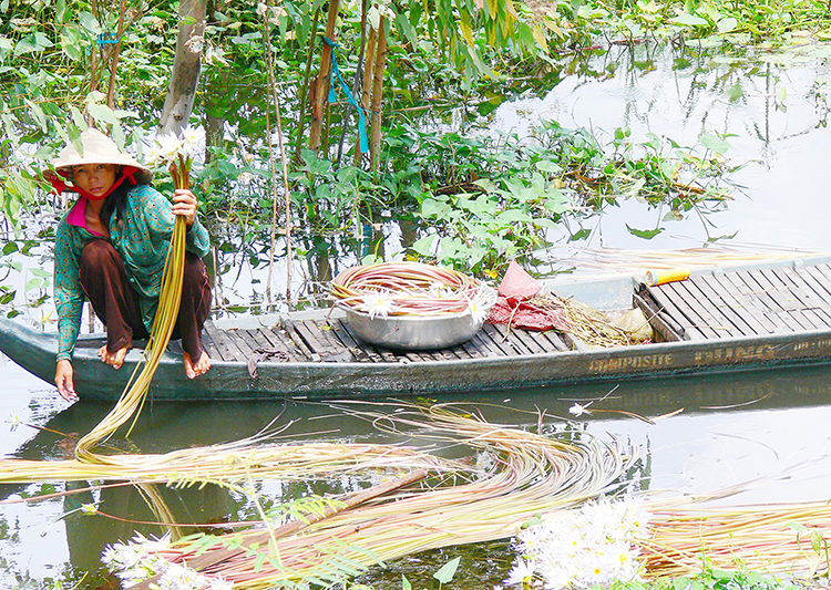mùa nước nổi