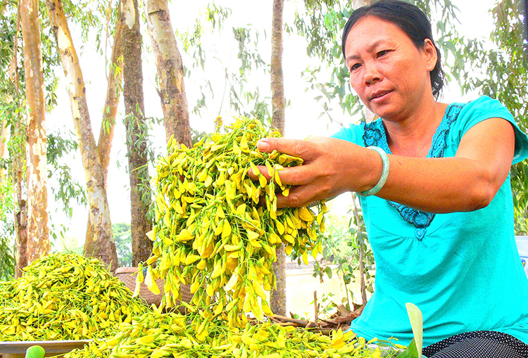 mùa nước nổi