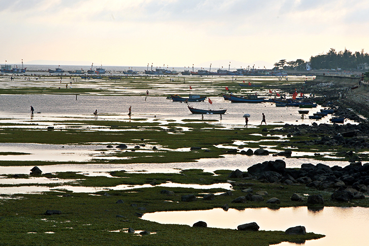 Lý Sơn