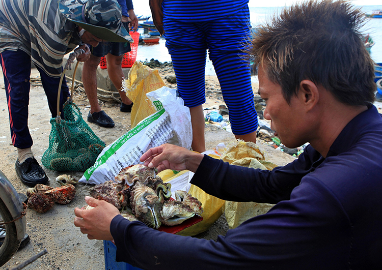 Lý Sơn