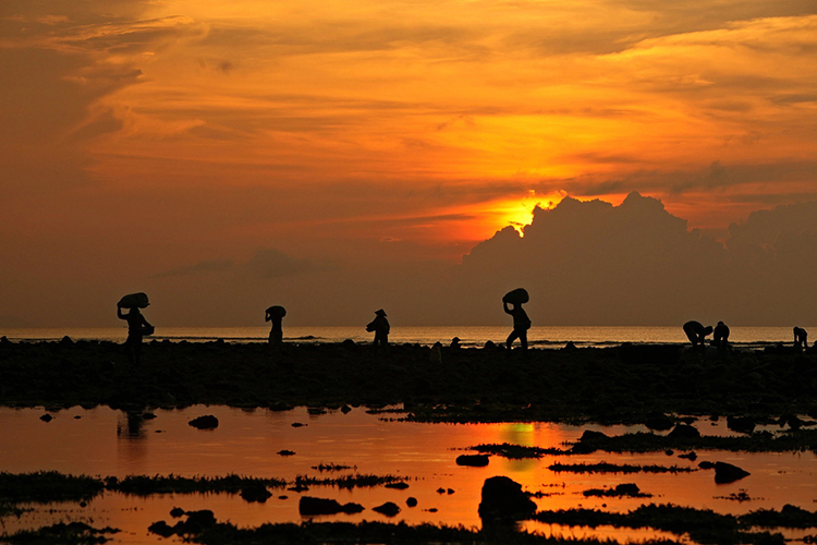 Lý Sơn