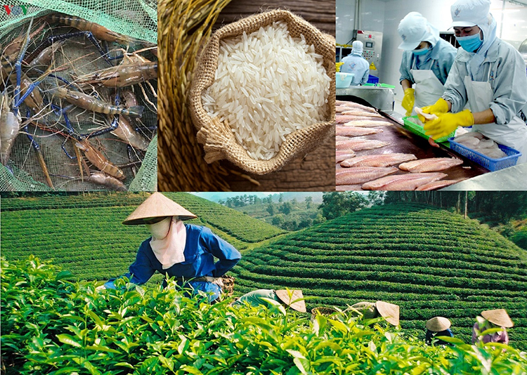 hàng hóa việt nam