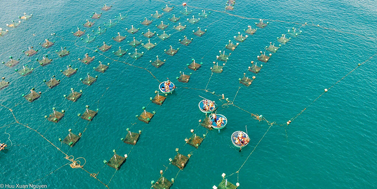 Hòn Yến