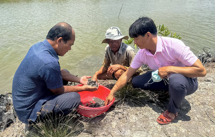 sò huyết
