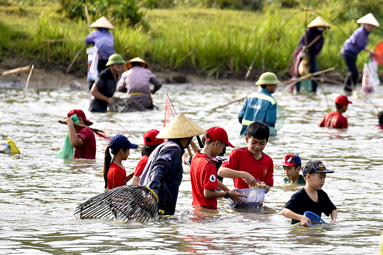 Lễ hội đánh cá Vực Rào