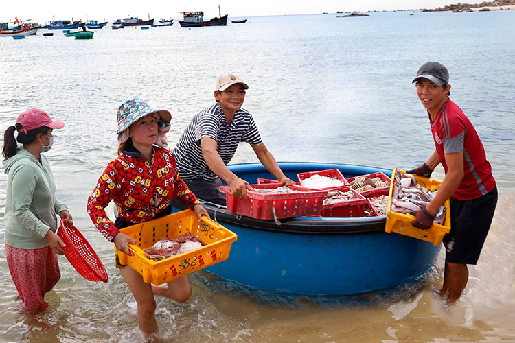 làng chài An Hải