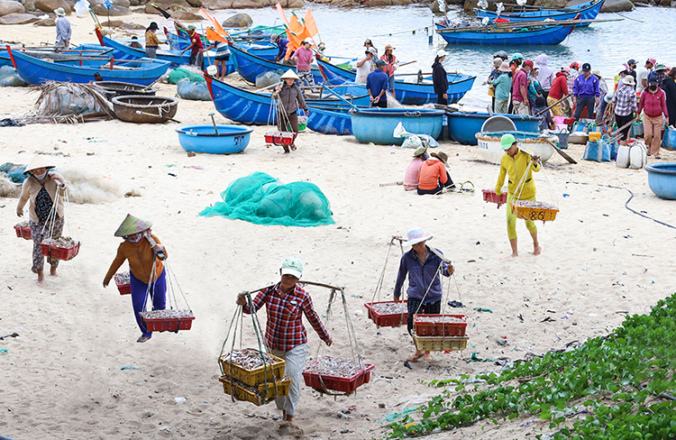 làng chài An Hải