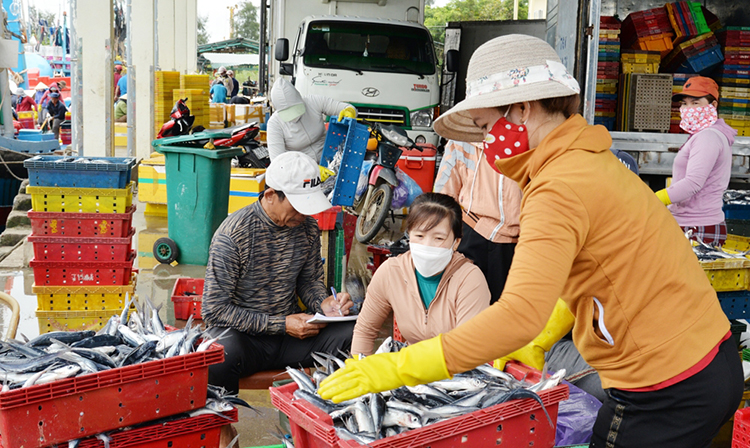 thu mua hải sản
