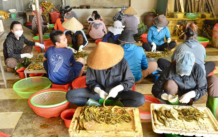 vựa lươn lớn nhất nghệ an
