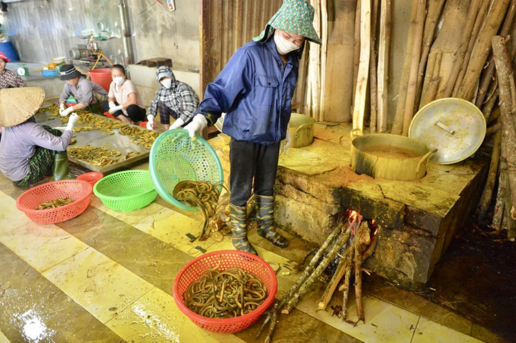 vựa lươn lớn nhất nghệ an