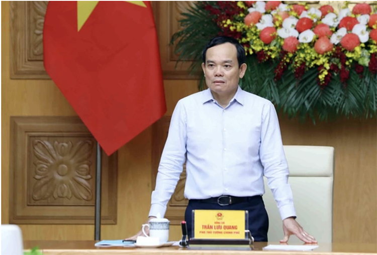 Phó Thủ tướng Trần Lưu Quang
