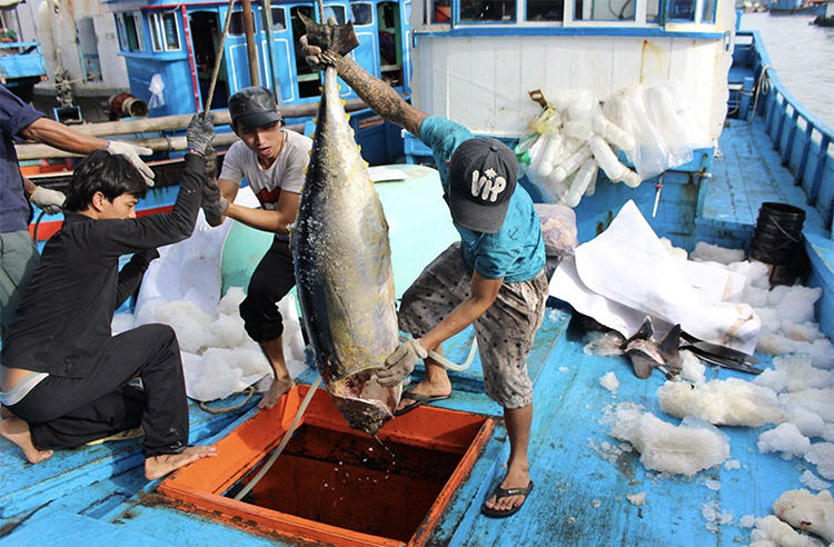 IUU
