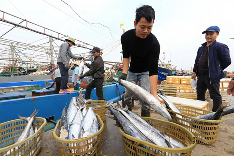 IUU