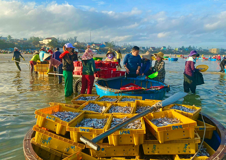 chợ cá Châu Thuận Biển