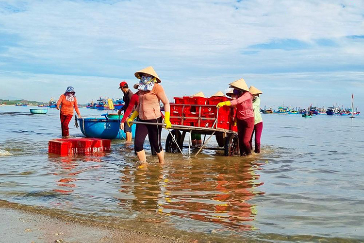 chợ cá Châu Thuận Biển