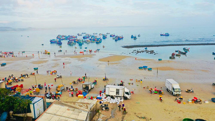 chợ cá Châu Thuận Biển