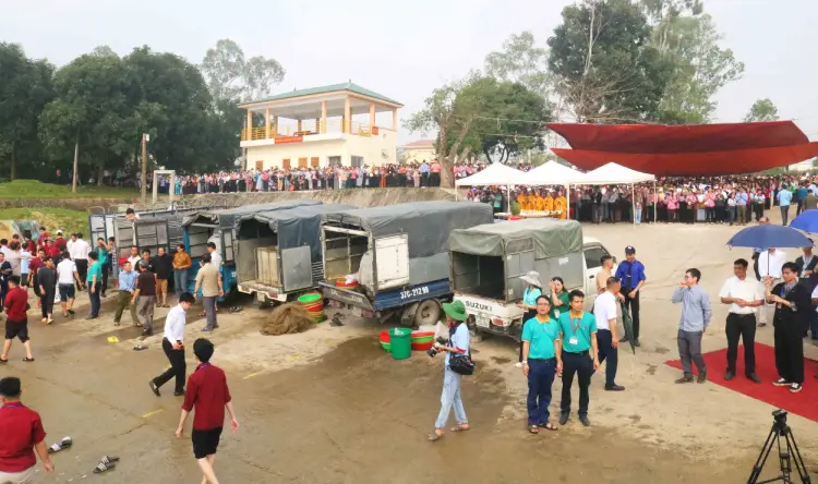 Chùa Viên Quang phóng sinh