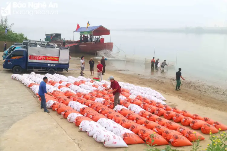 Chùa Viên Quang phóng sinh