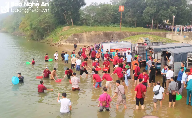 Chùa Viên Quang phóng sinh