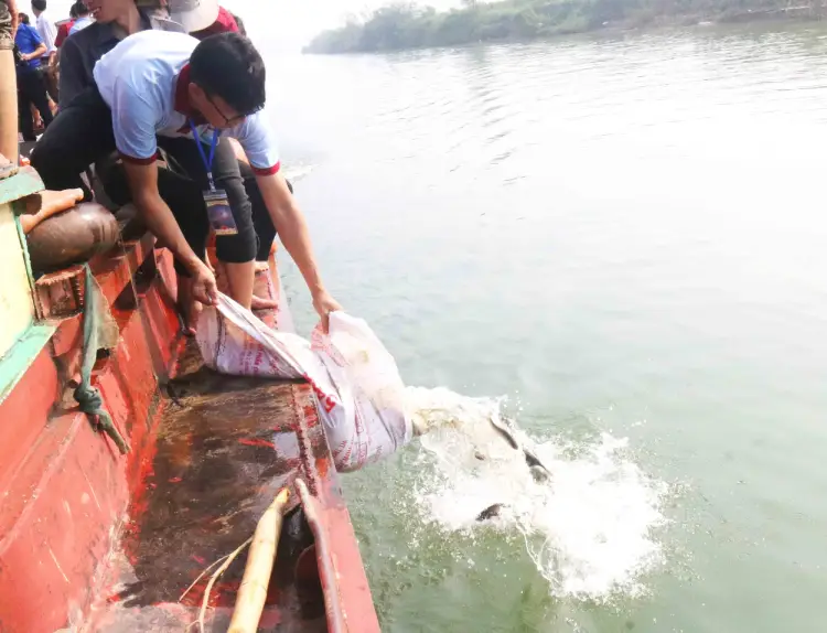 Chùa Viên Quang phóng sinh