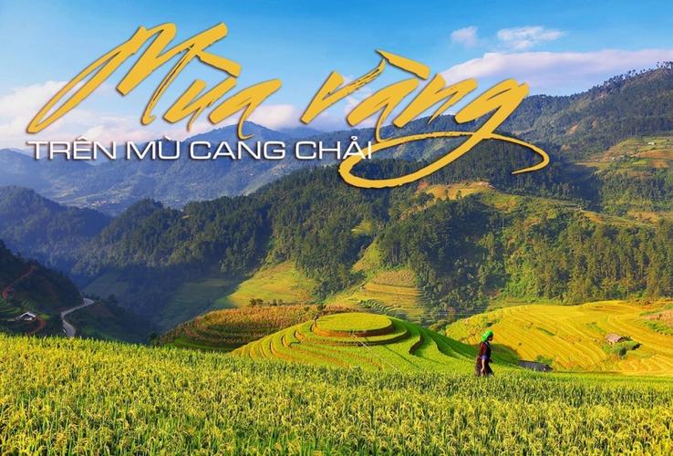 lễ cầu ngư tại quảng ngãi