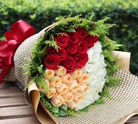 Tôm nuôi tại Công ty Hải Nguyên cho năng suất cao   Ảnh: Phan Thanh