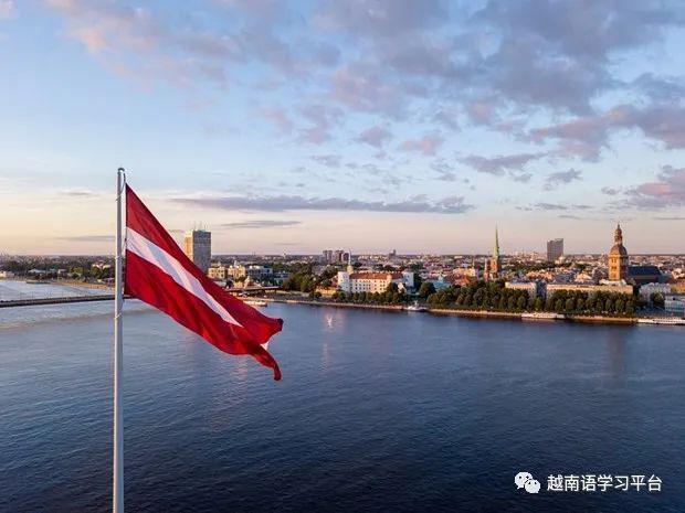 Nông dân điêu đứng vì giá cá giảm   Ảnh: Ngọc Trinh