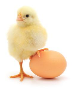 Ông Phạm Tấn Đà, đại diện BIO nhận giải thưởng