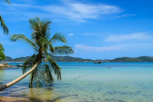 Đại diện Olmix cùng các đại biểu tham dự Hội nghị