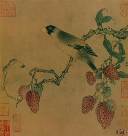 Vùng nuôi lồng bè ở huyện Kiên Hải - Kiên Giang