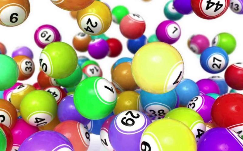 đại gia cá tra - ảnh 2 đại gia cá tra - ảnh 2