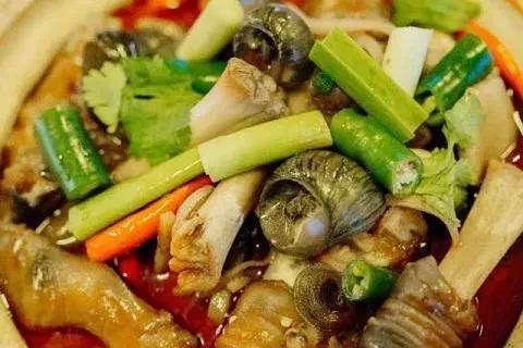 thả rạn nhân tạo tại vịnh nha trang - ảnh 5