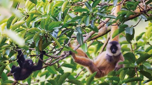 ông nguyễn văn tùng hội trưởng ntts ngư thủy bắc lệ thủy quảng bình
