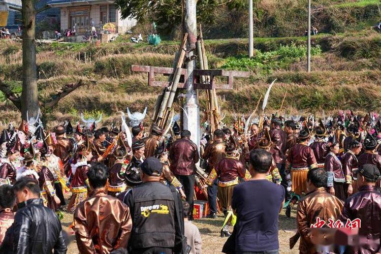 cá tra tiêu thụ nội địa - ảnh 1