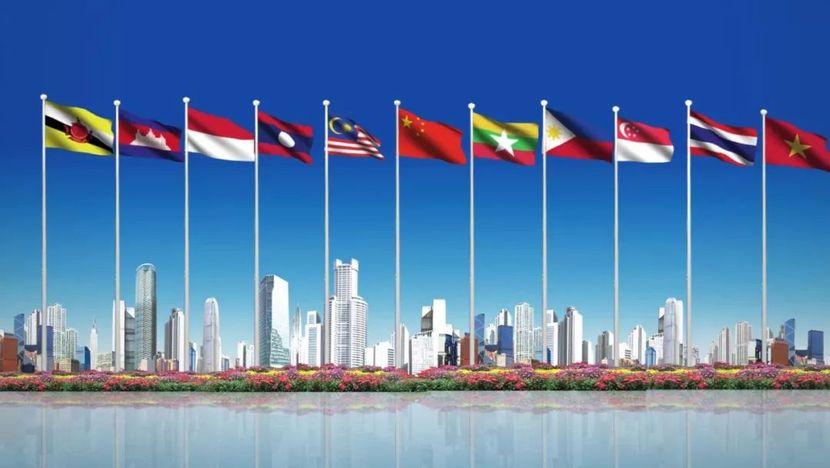 cá tra tiêu thụ nội địa - ảnh 5