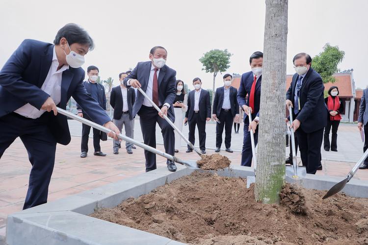 nuôi cá lồng trên vịnh cát bà